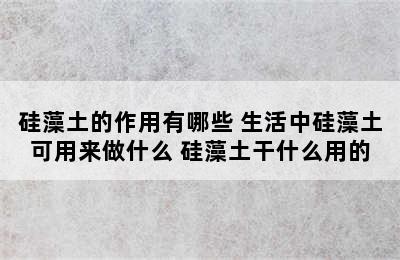 硅藻土的作用有哪些 生活中硅藻土可用来做什么 硅藻土干什么用的